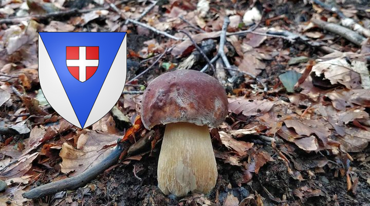 Coins à champignons en Savoie (73)