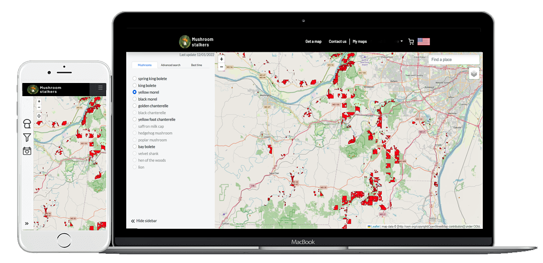 Mushroom Maps MushroomStalkers